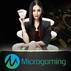 microgaming-casino - summer138