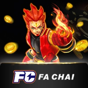 fachai - summer138