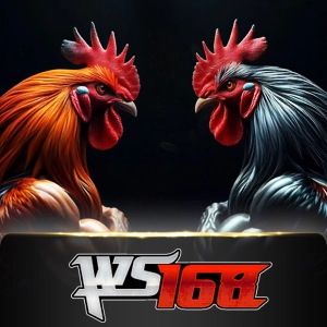 ws168 - summer138