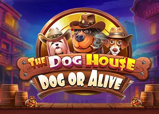 The Dog House - Dog or Alive - SUMMER138