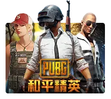 Pubg - SUMMER138