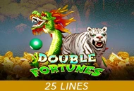 Double Fortunes - SUMMER138