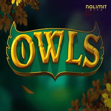 Owls - SUMMER138