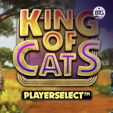 King of Cats - SUMMER138