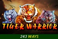 Tiger Warrior - SUMMER138