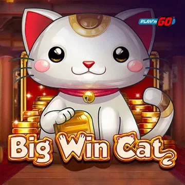 Big Win Cat - SUMMER138