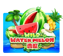 Wild Watermelon - SUMMER138