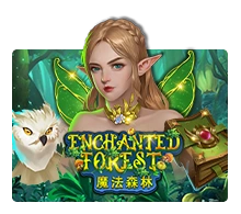 Enchanted Forest - SUMMER138