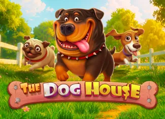 The Dog House - SUMMER138