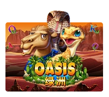 Oasis - SUMMER138